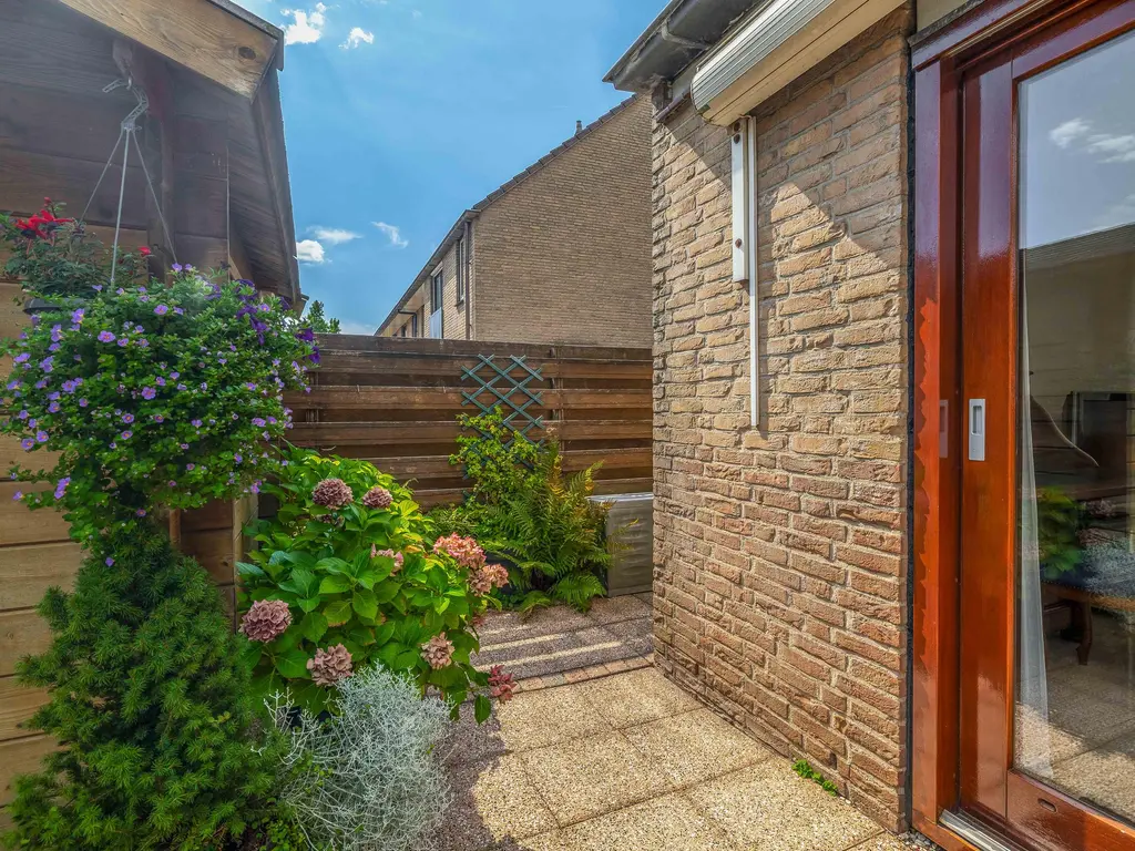 Dissel 29, BRIELLE