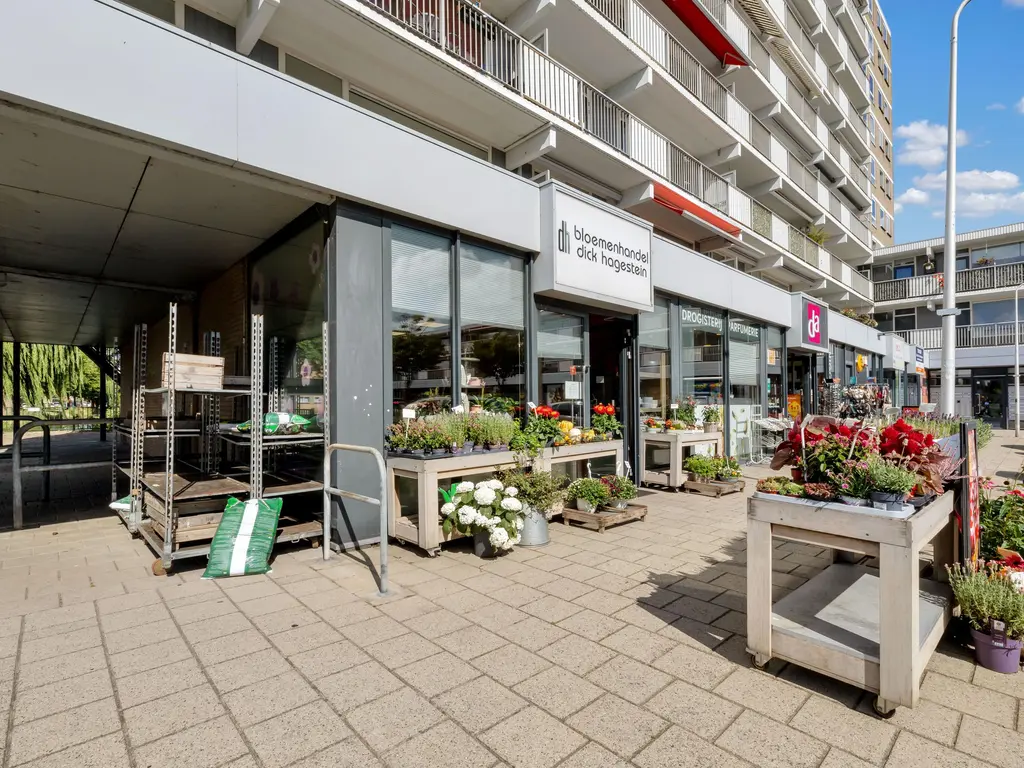 van der Fuyckstraat 75, BRIELLE