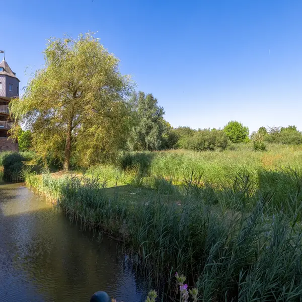 Leliënhuyze 9, 's-Hertogenbosch