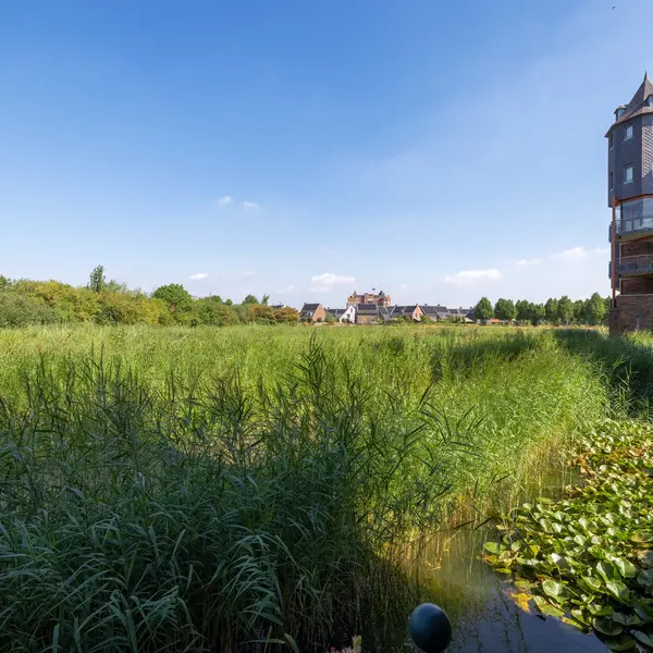 Leliënhuyze 9, 's-Hertogenbosch