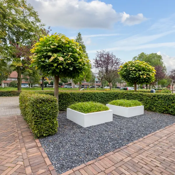 Kokmeeuw 21, 's-Hertogenbosch