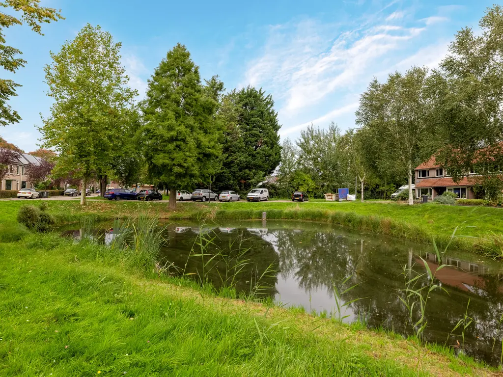 Kokmeeuw 21, 's-Hertogenbosch