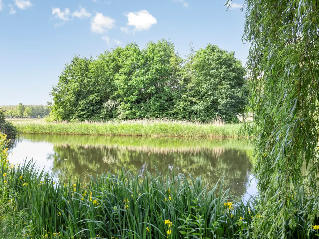Roerdomp 37, 's-Hertogenbosch