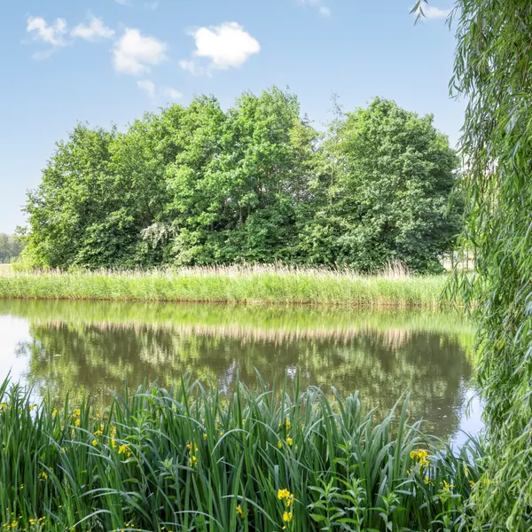 Roerdomp 37, 's-Hertogenbosch