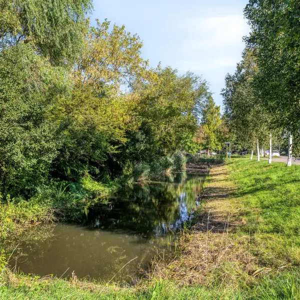 Karekiet 11, 's-Hertogenbosch