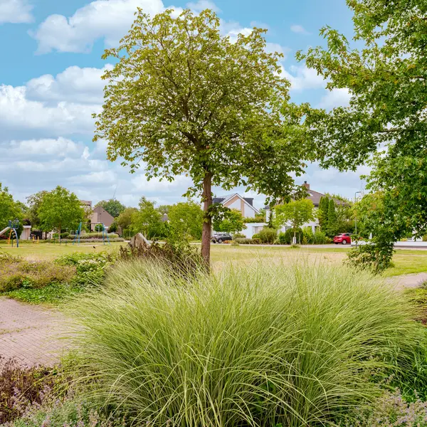 Aalscholverlaan 11, 's-Hertogenbosch