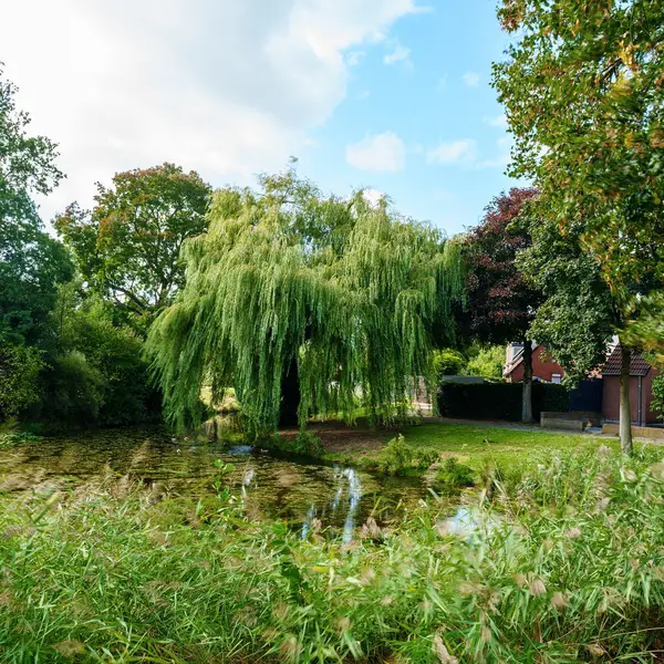 Stapelen 2, 's-Hertogenbosch