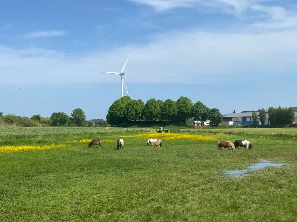 De Woerd 4, 's-Hertogenbosch