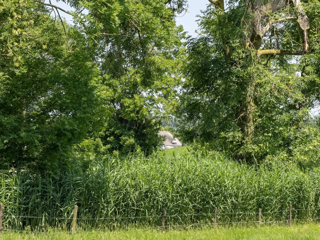 De Woerd 4, 's-Hertogenbosch