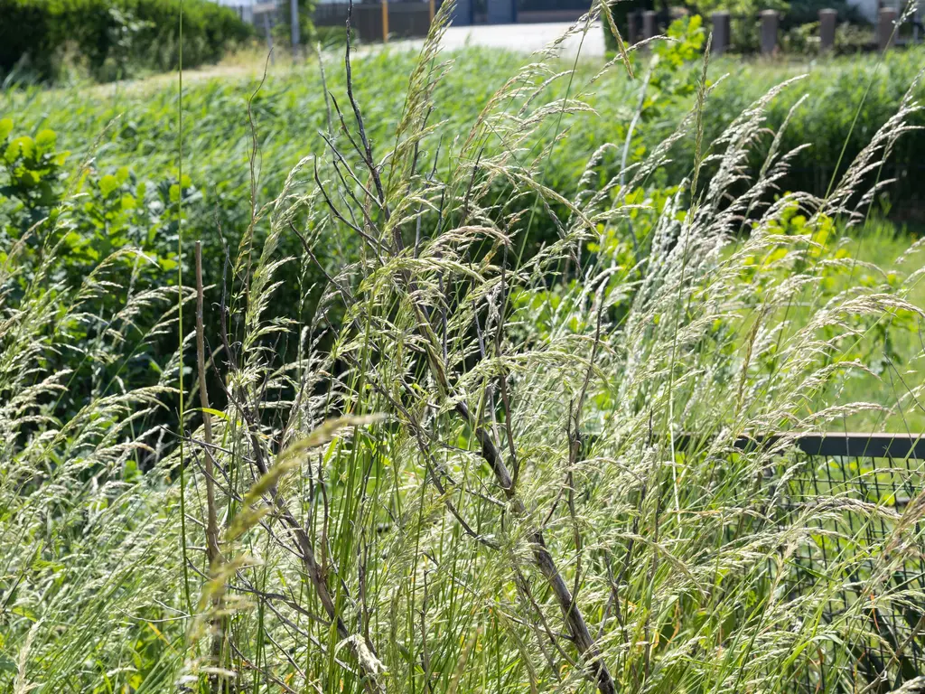 De Woerd 4, 's-Hertogenbosch