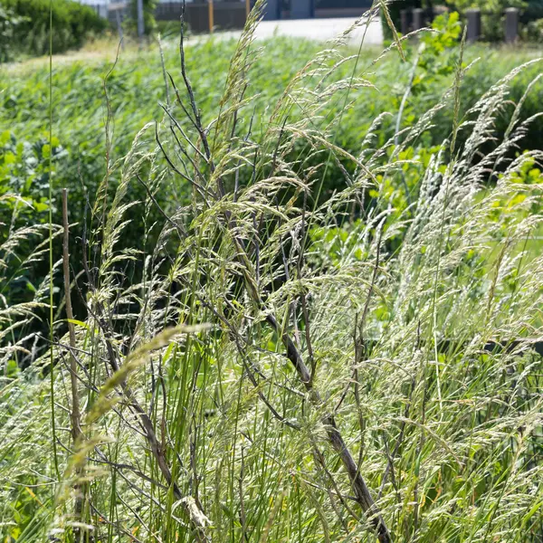 De Woerd 4, 's-Hertogenbosch