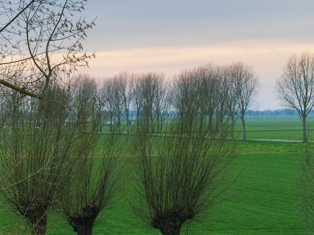 Beeckendael 26, 's-Hertogenbosch