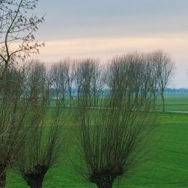 Beeckendael 26, 's-Hertogenbosch