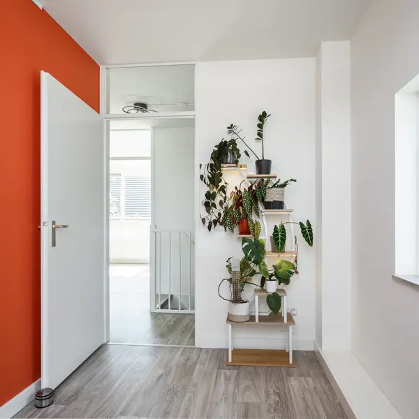 Karekiet 9, 's-Hertogenbosch