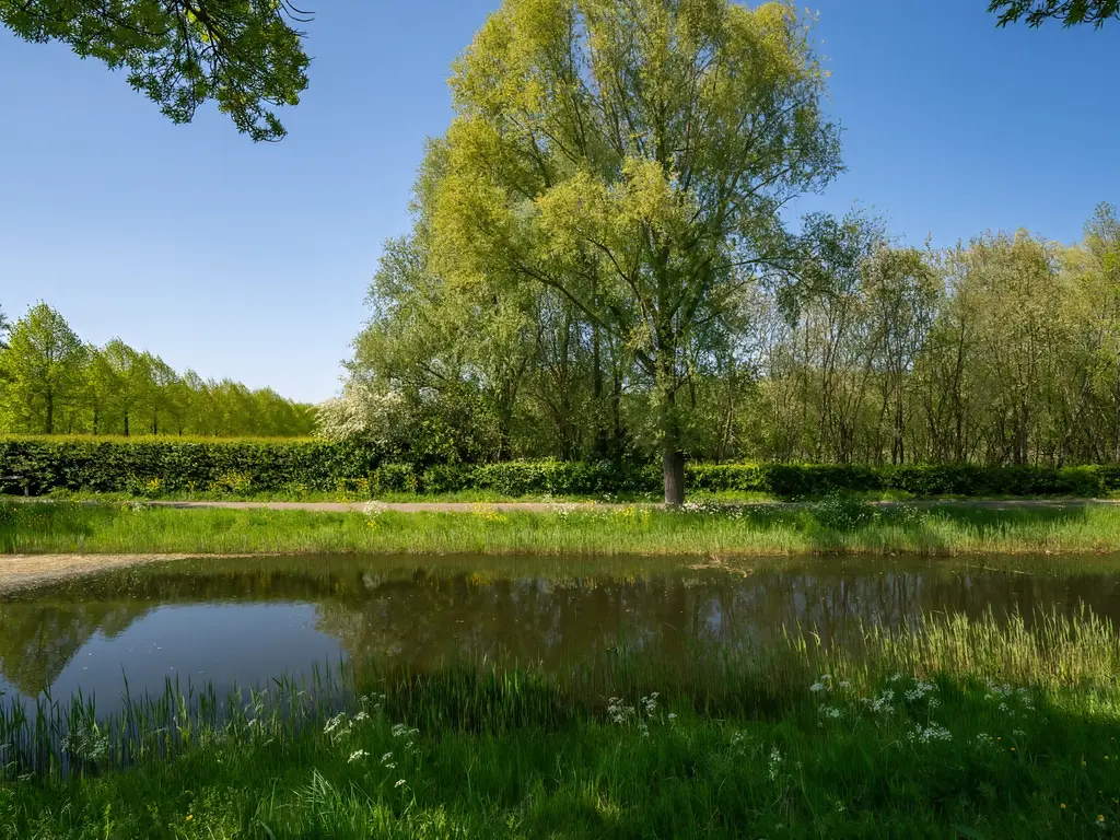 Karekiet 9, 's-Hertogenbosch