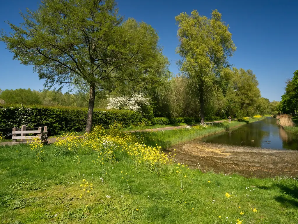 Karekiet 9, 's-Hertogenbosch