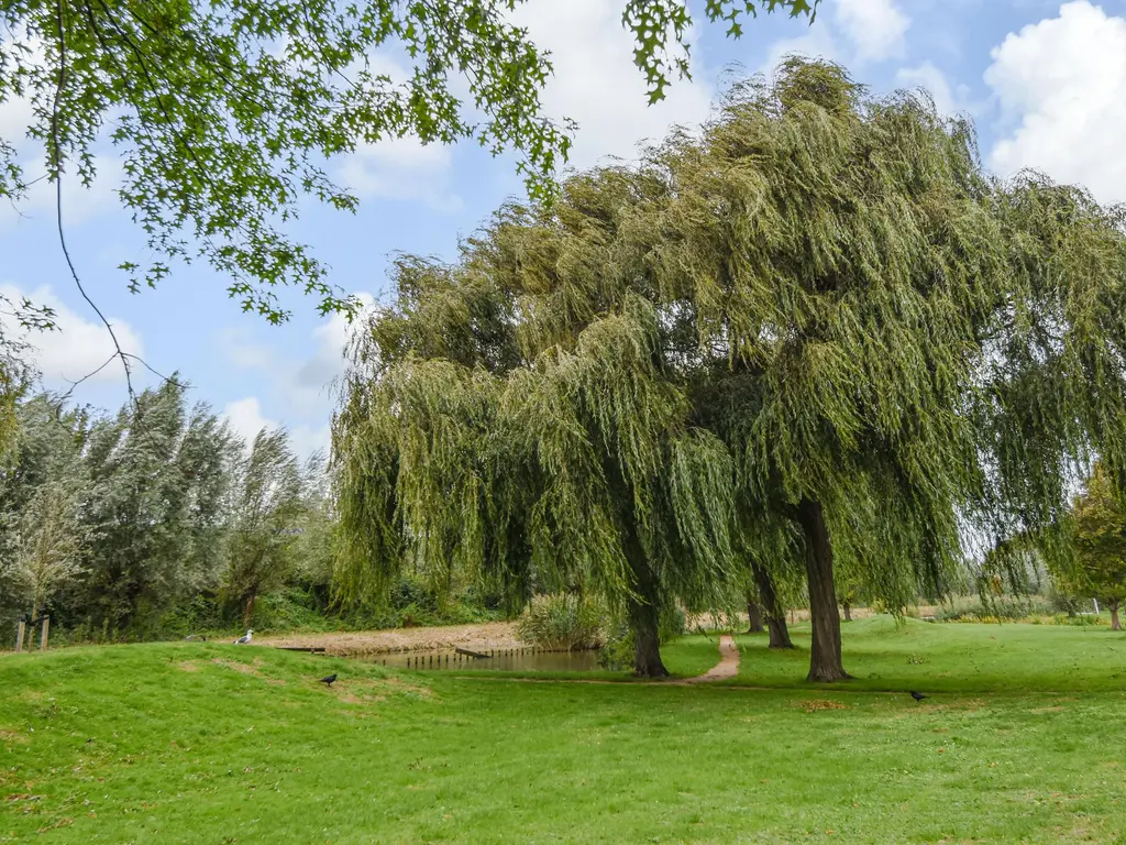 Rozemarijn 81, WATERINGEN