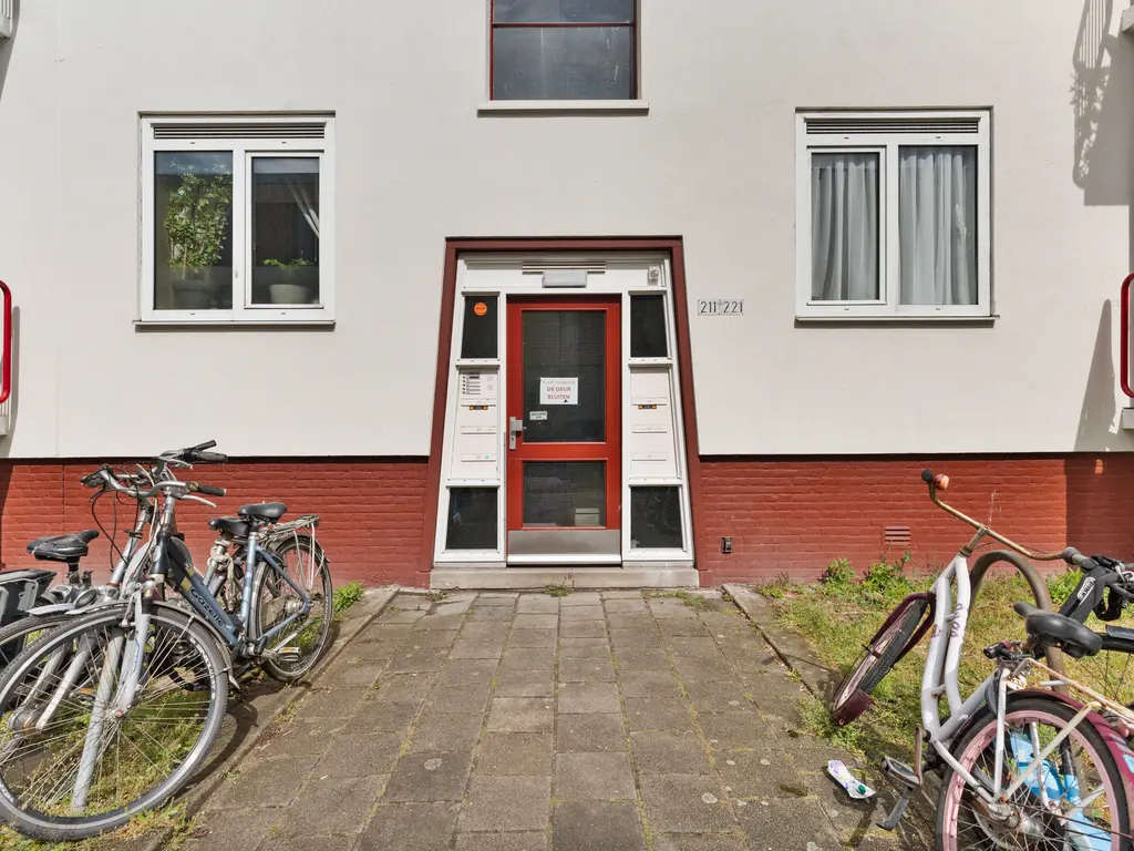 Roemer Visscherstraat 219, 'S-GRAVENHAGE