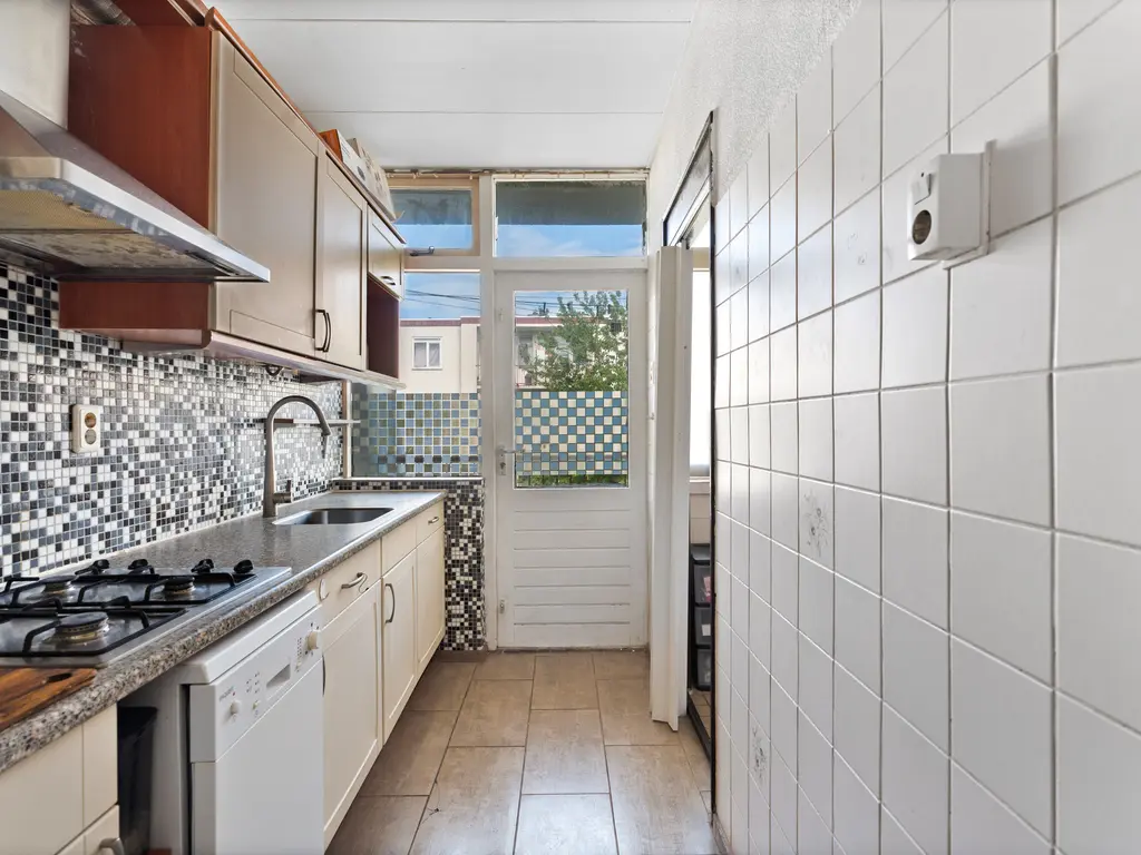 Roemer Visscherstraat 219, 'S-GRAVENHAGE