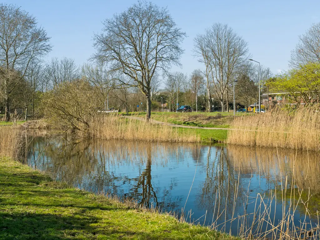 Balsemienlaan 230, 'S-GRAVENHAGE