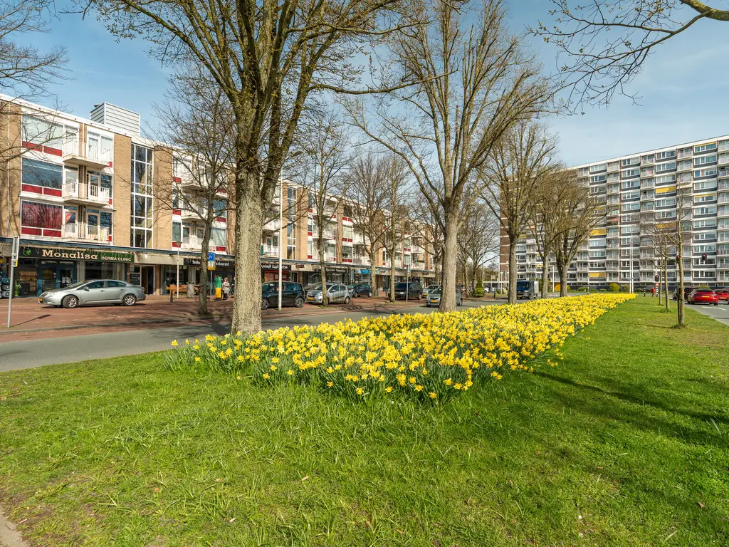 Jaarsveldstraat 72, 'S-GRAVENHAGE