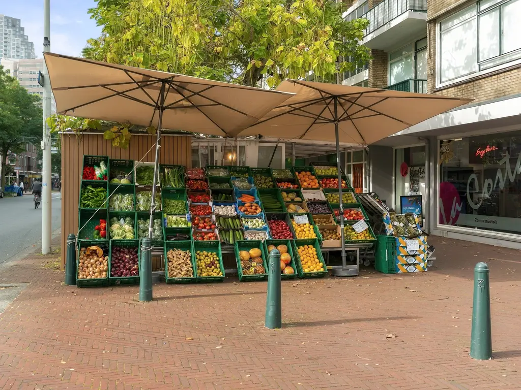 Juliana van Stolberglaan 77, 'S-GRAVENHAGE