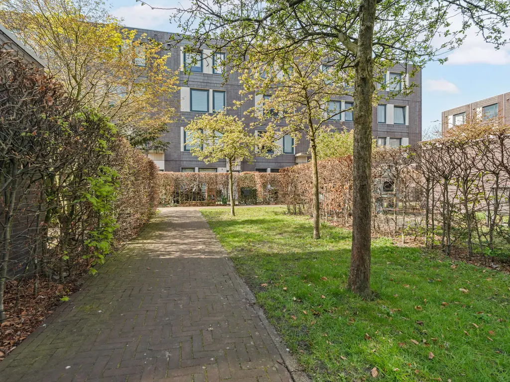 Beeldsnijdersgaarde 41, 'S-GRAVENHAGE