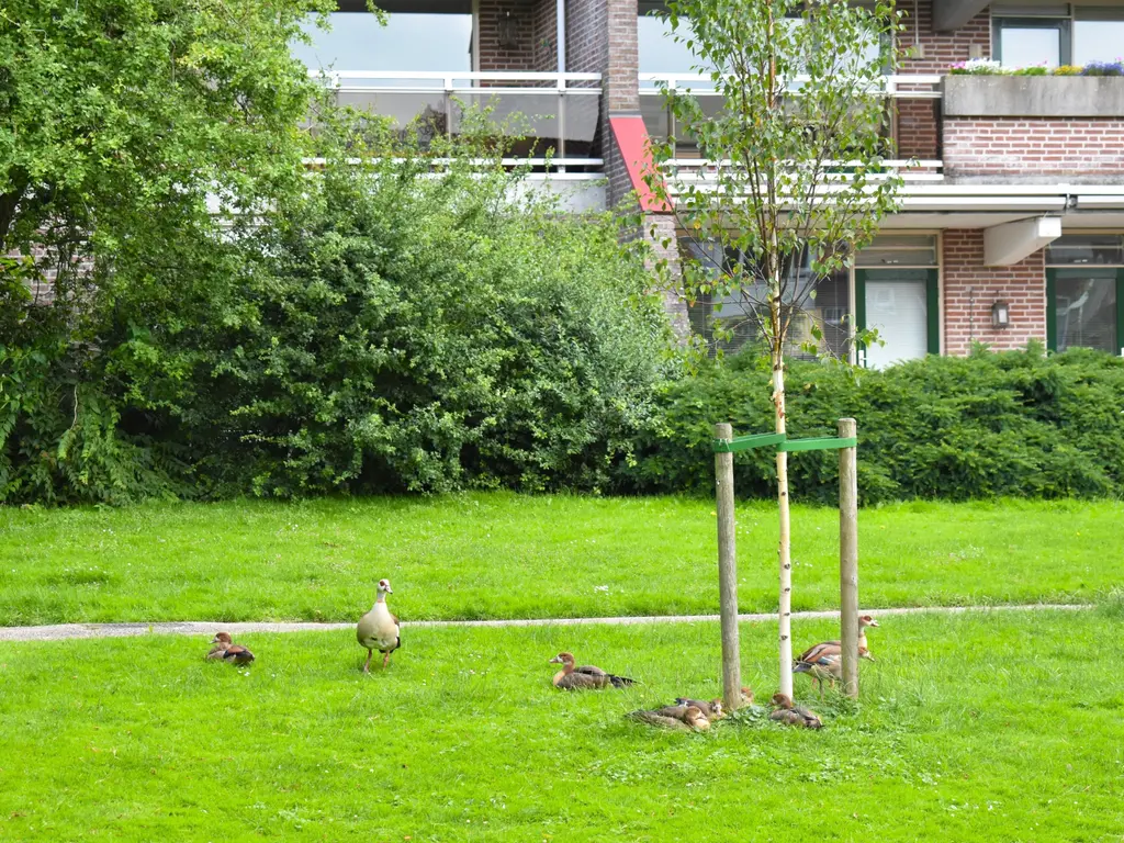 Selde Rust 27 2, Amstelveen