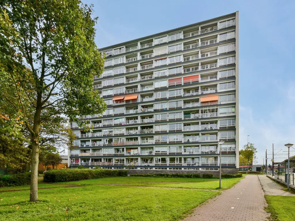 Louis Raemaekersstraat 47, SCHIEDAM