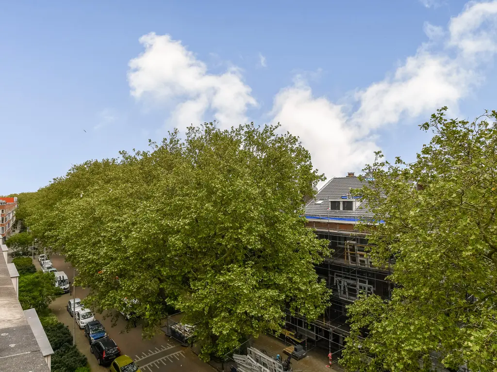 Rösener Manzstraat 11A, ROTTERDAM