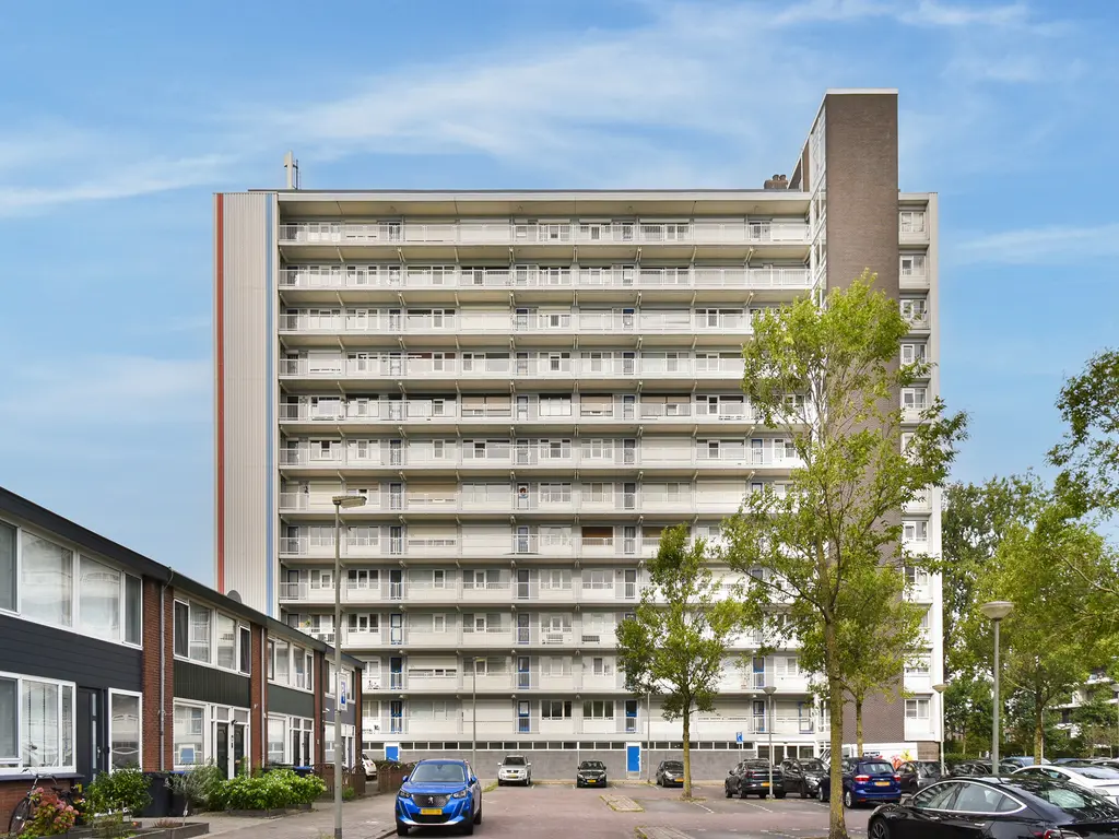 Louis Raemaekersstraat 297, SCHIEDAM
