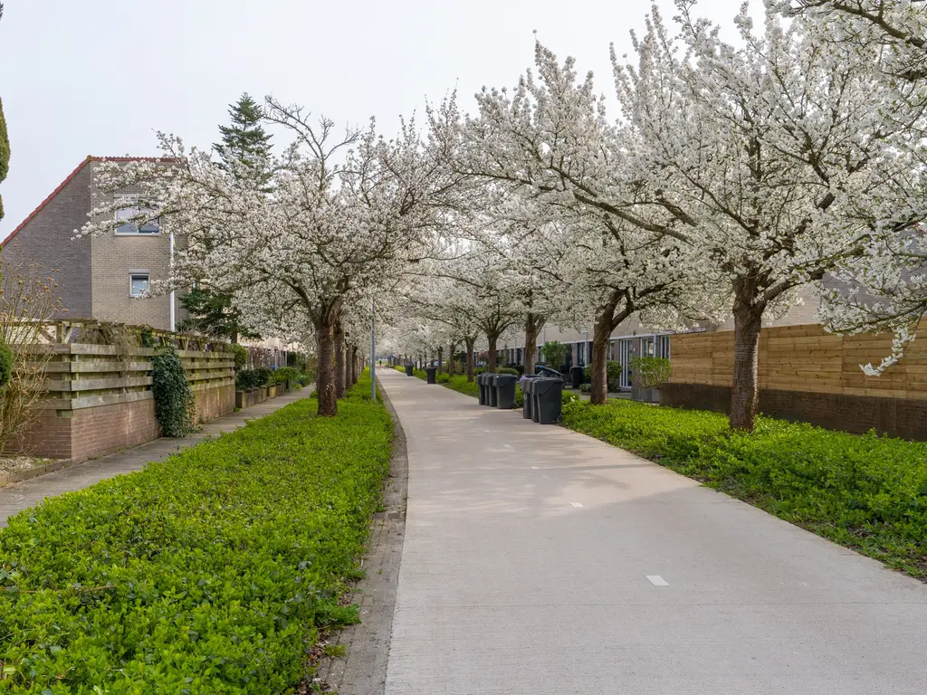 Bachdreef 66, Harderwijk