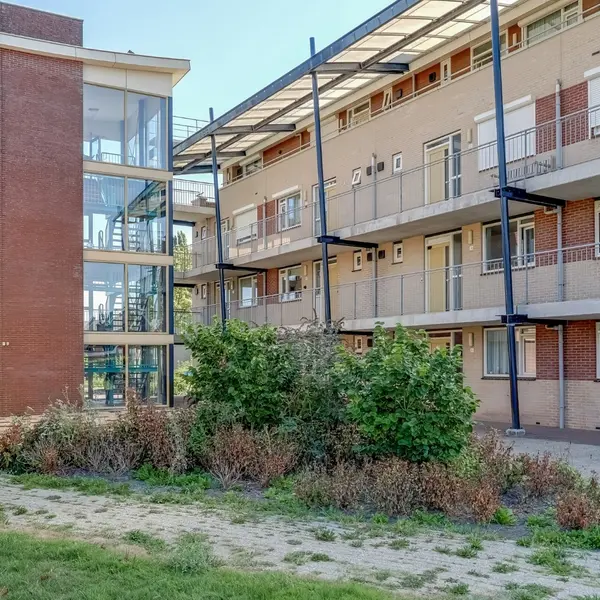 Elft 12, Avenhorn