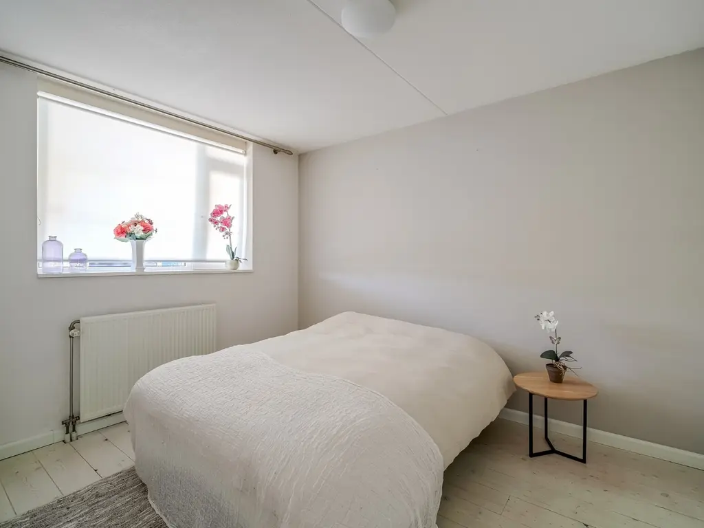 Elft 12, Avenhorn