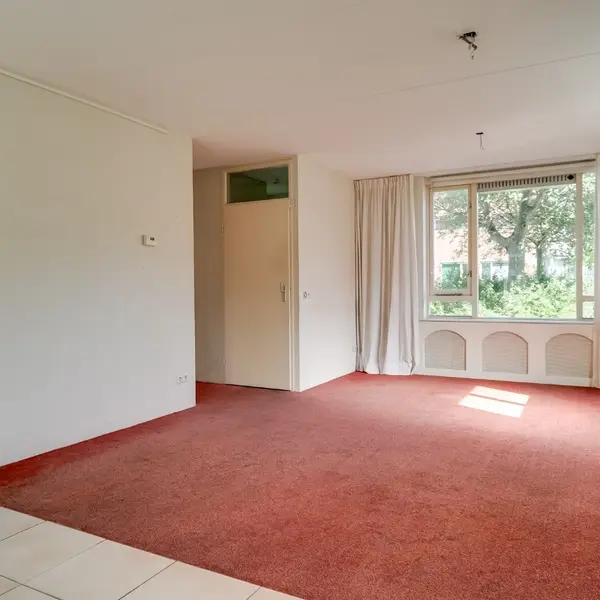 Groef 12, Hoorn