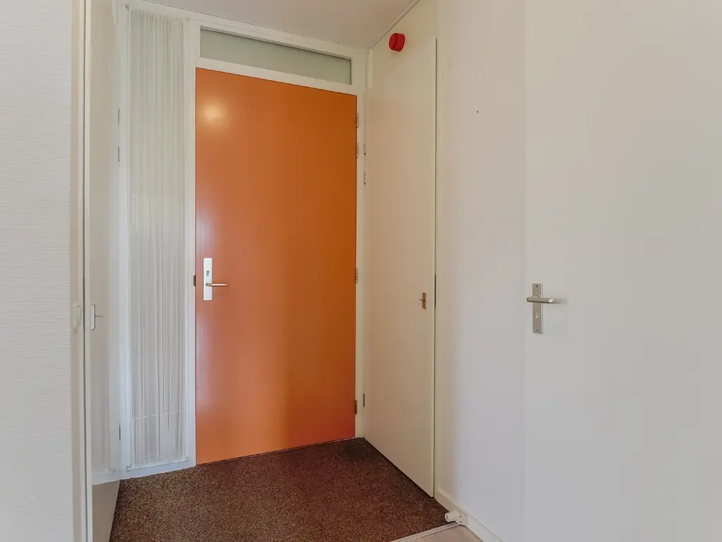 Kolblei 102, Avenhorn