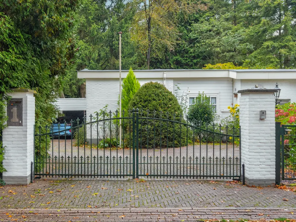 Mezenlaan 1, Leende