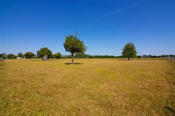 Elbaweg 55, Hem