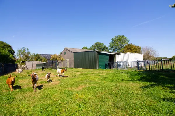 Elbaweg 55, Hem