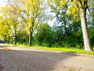 Foto 5 van Zeger Davidzonweg 13