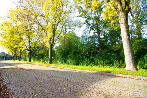 Zeger Davidzonweg 13, Venhuizen