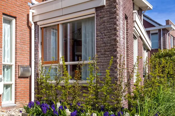 Optimist 8, MEDEMBLIK