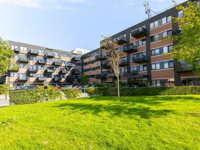 Foto 4 van Zandsteen 79