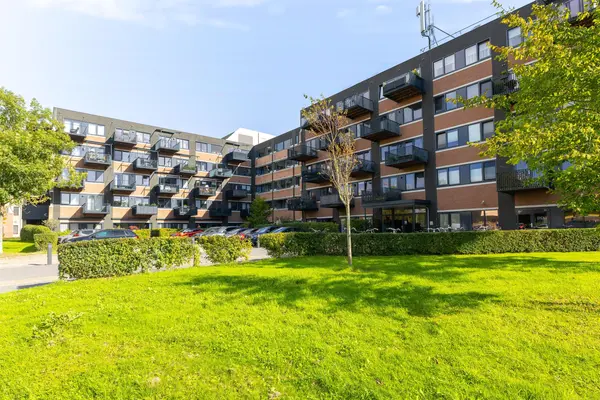 Zandsteen 79