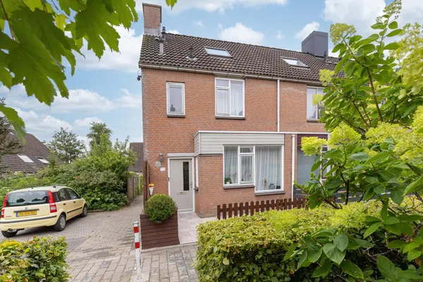 Paardebloem 73