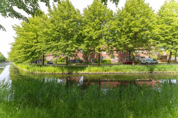 Patio 118, HOORN