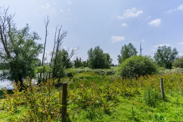 Engelsedijk 3, 's-Hertogenbosch