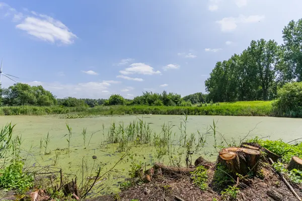 Engelsedijk 3, 's-Hertogenbosch