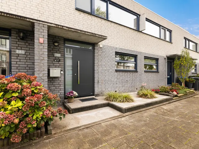 Palissander 381, Dordrecht