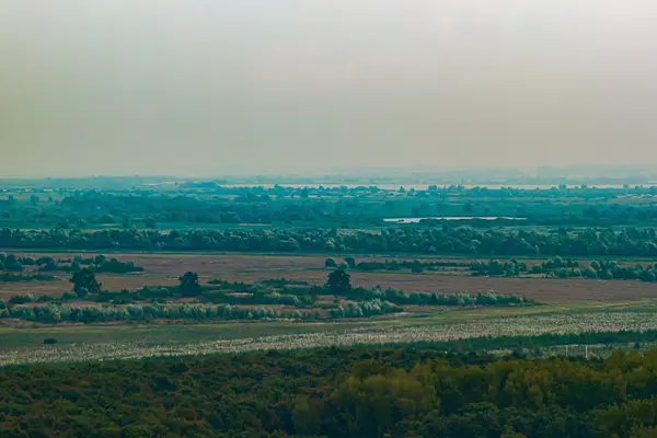 Mazureplantsoen 42, Almere